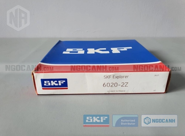 Vòng bi bạc đạn 6020 100x150x24mm SKF — Ảnh gốc — ngocanh.com · 6020-5.jpg