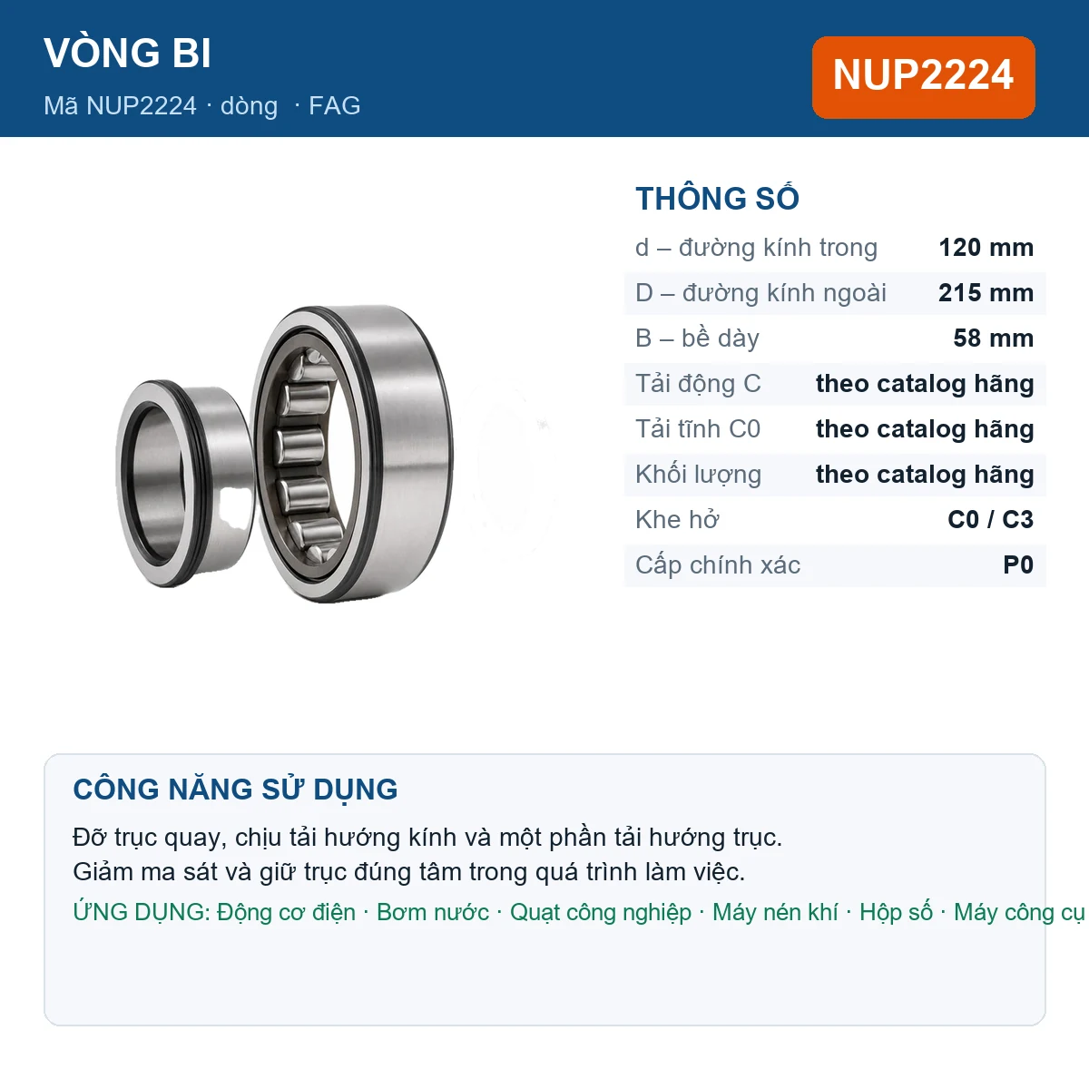 Vòng bi FAG NUP2224 120x215x58mm — Ảnh đăng sản phẩm (web)