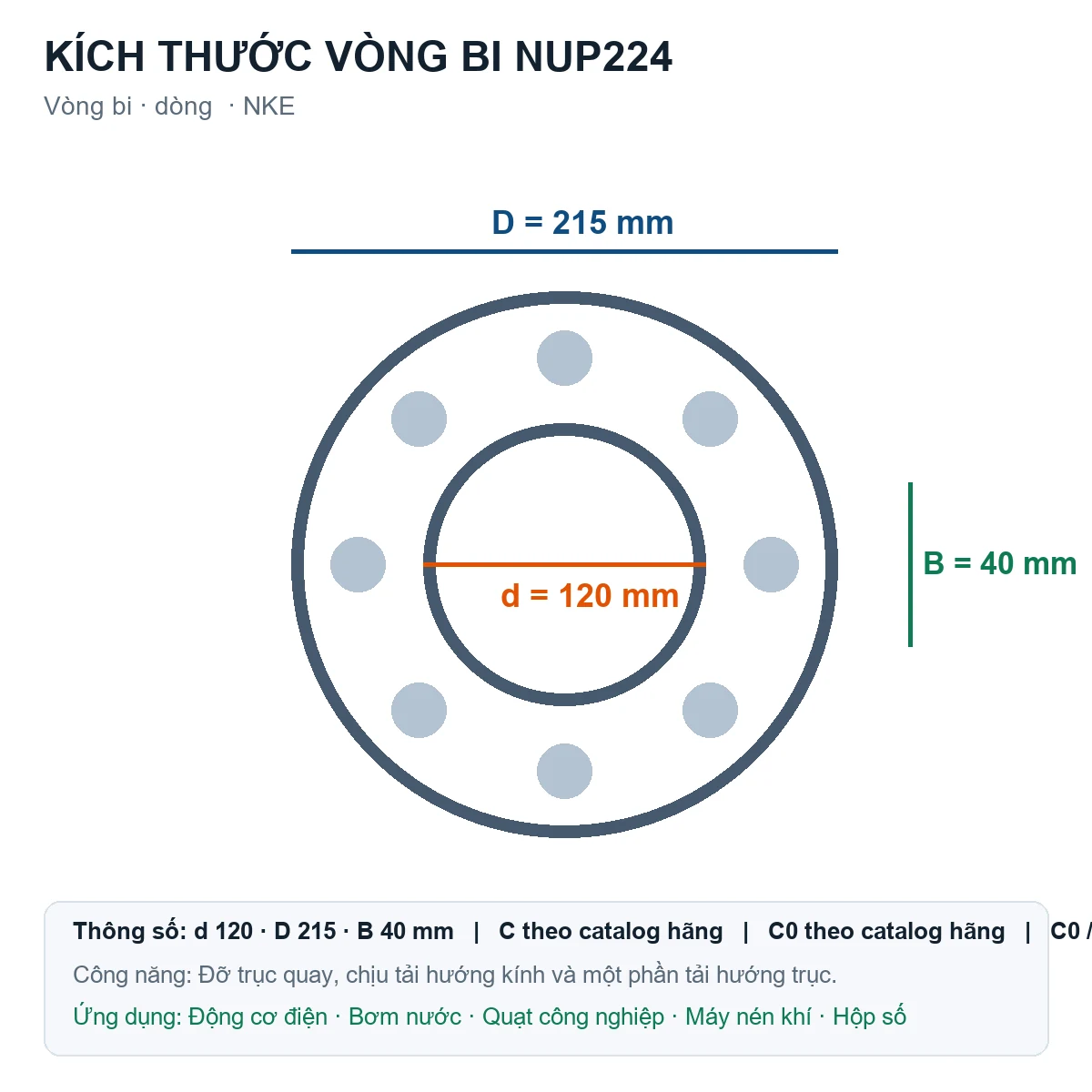 Vòng bi NKE NUP224 120x215x40mm — Bản vẽ kích thước (Google Images)